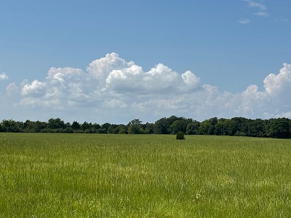 3rd image of 12675 County Road 2922