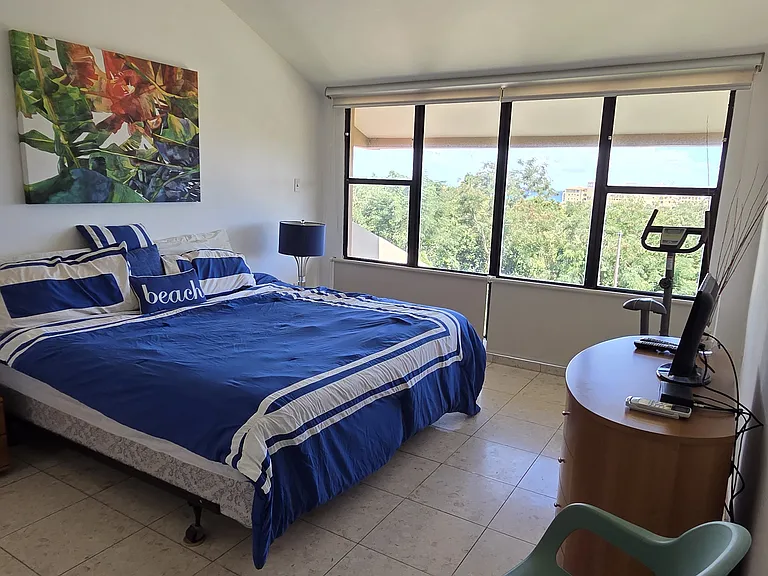 A18 La Jolla Palmas Del Mar Dr — Photo 6