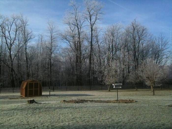 Back yard and woods