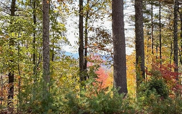 1st image of LOT 56 57 Hemlock Hts