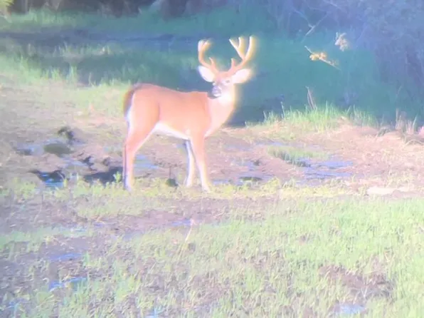 0 Will Lee Rd, Nicholls, GA 31554