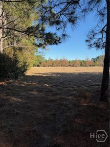 3C McCall Road, Springfield, GA, 31329