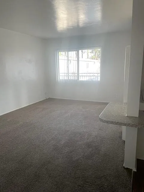 1 bed, $1,550 — Photo 3