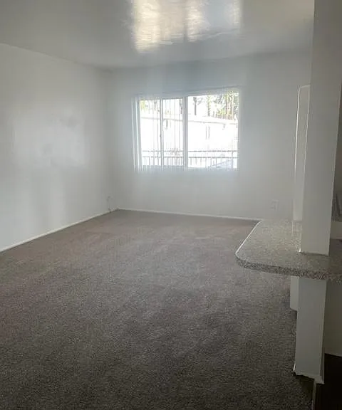 3875 Cedar St #13 — Photo 3