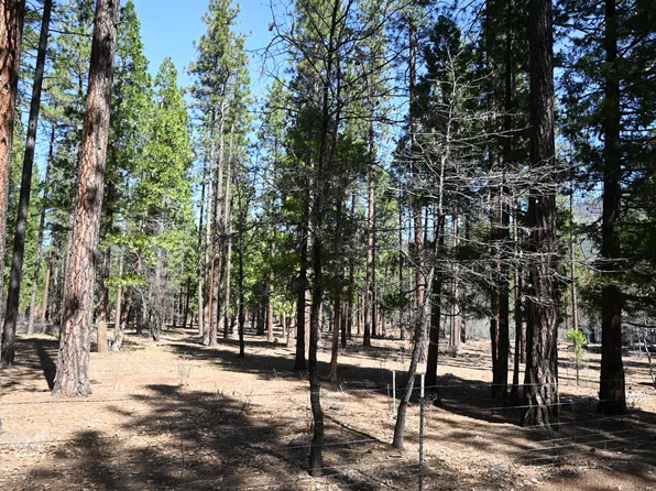 0 Pine Shadows Rd, McArthur, CA 96056