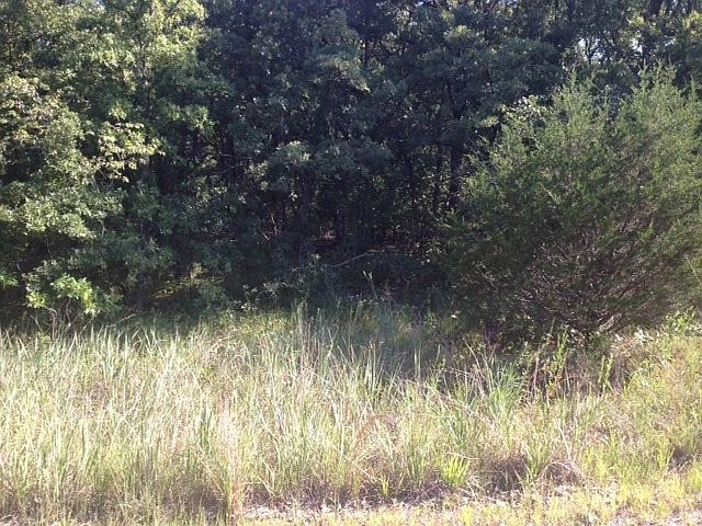 2nd image of Bounbonias Creek Rd