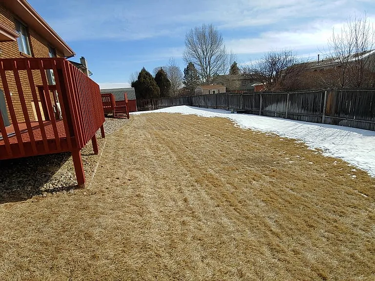 1726 Person St — Photo 4