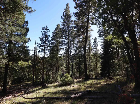 1141 La Luz Canyon Rd, Cloudcroft, NM 88317
