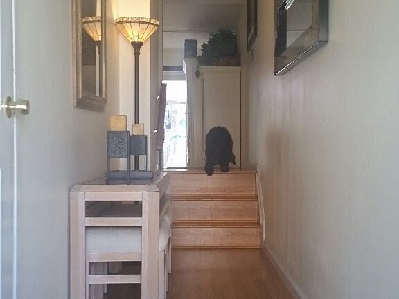 2nd image of 24 Patty Ct