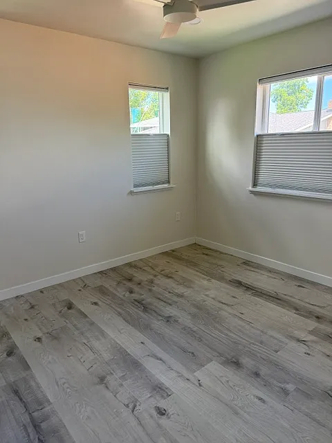 1 bed, 600 sqft, $1,600 — Photo 3
