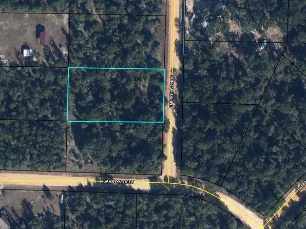 0 Empire Ave, Alford, FL 32420