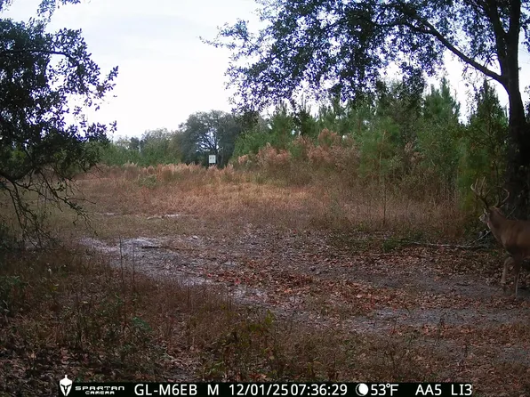 Tbd2 Cumbie Rd, Climax, GA 39834