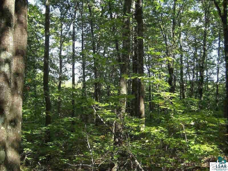 1st image of xxxxx Fire Tower Rd Lot 1 Fire Hill