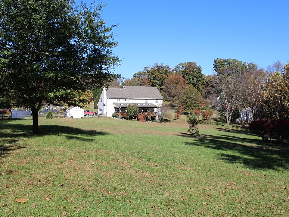 View of Backyard