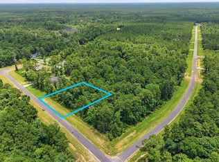 16068 Four Hills Rd LOT 44, Willis, TX 77378