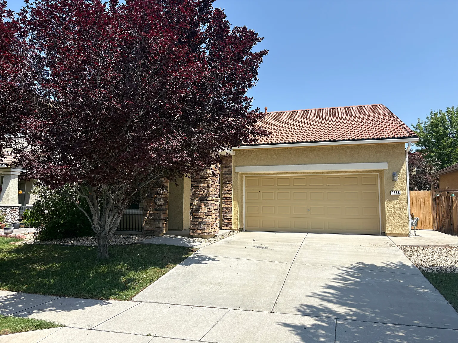 3686 Caymus Dr photo 1