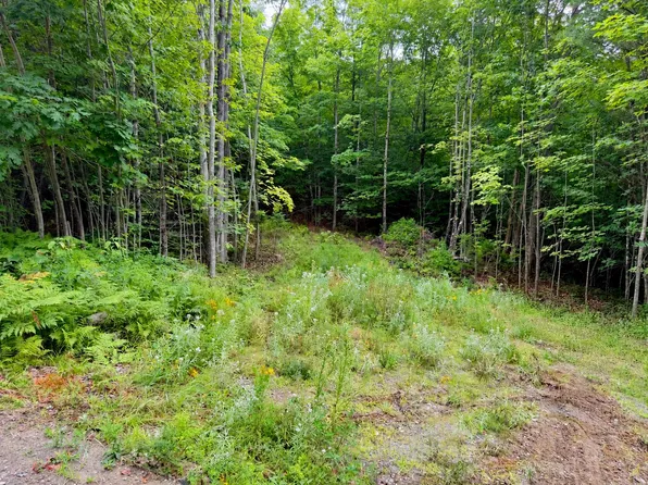 Lot 2 Mooseley Ridge Road, Phillips, ME 04966
