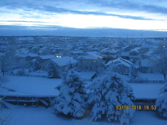 Off the back patio in winter