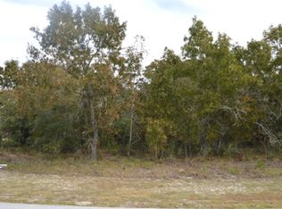 1180 Staten Ave, Spring Hill, FL 34609