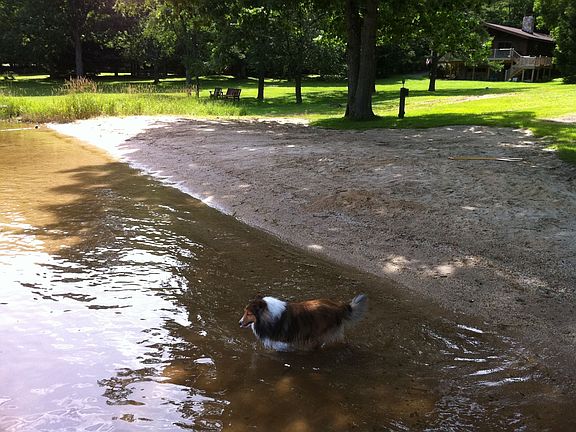 4th image of 625 Shoreline Dr