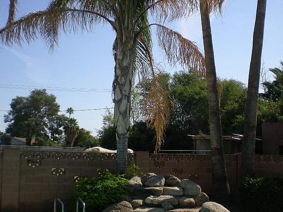 4th image of 745 S El Dorado