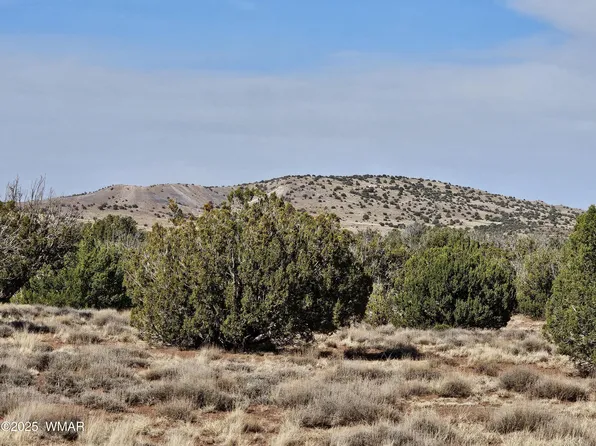 45 N 8488th, Concho, AZ 85924