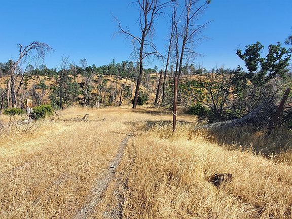 5th image of 15687 Stagecoach Rd