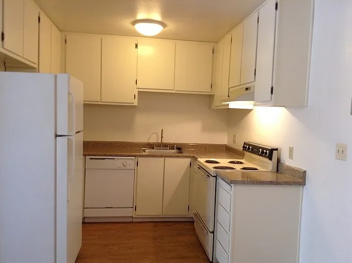519 Downie St #519 — Photo 10