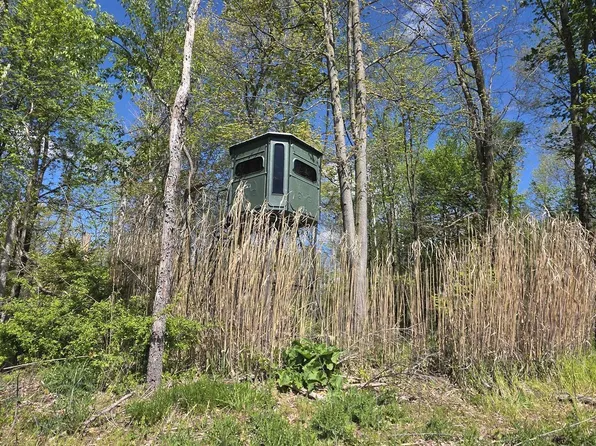 15252 27 Mile Rd, Albion, MI 49224