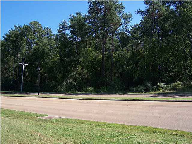 2nd image of 1 Highland Colony Pkwy
