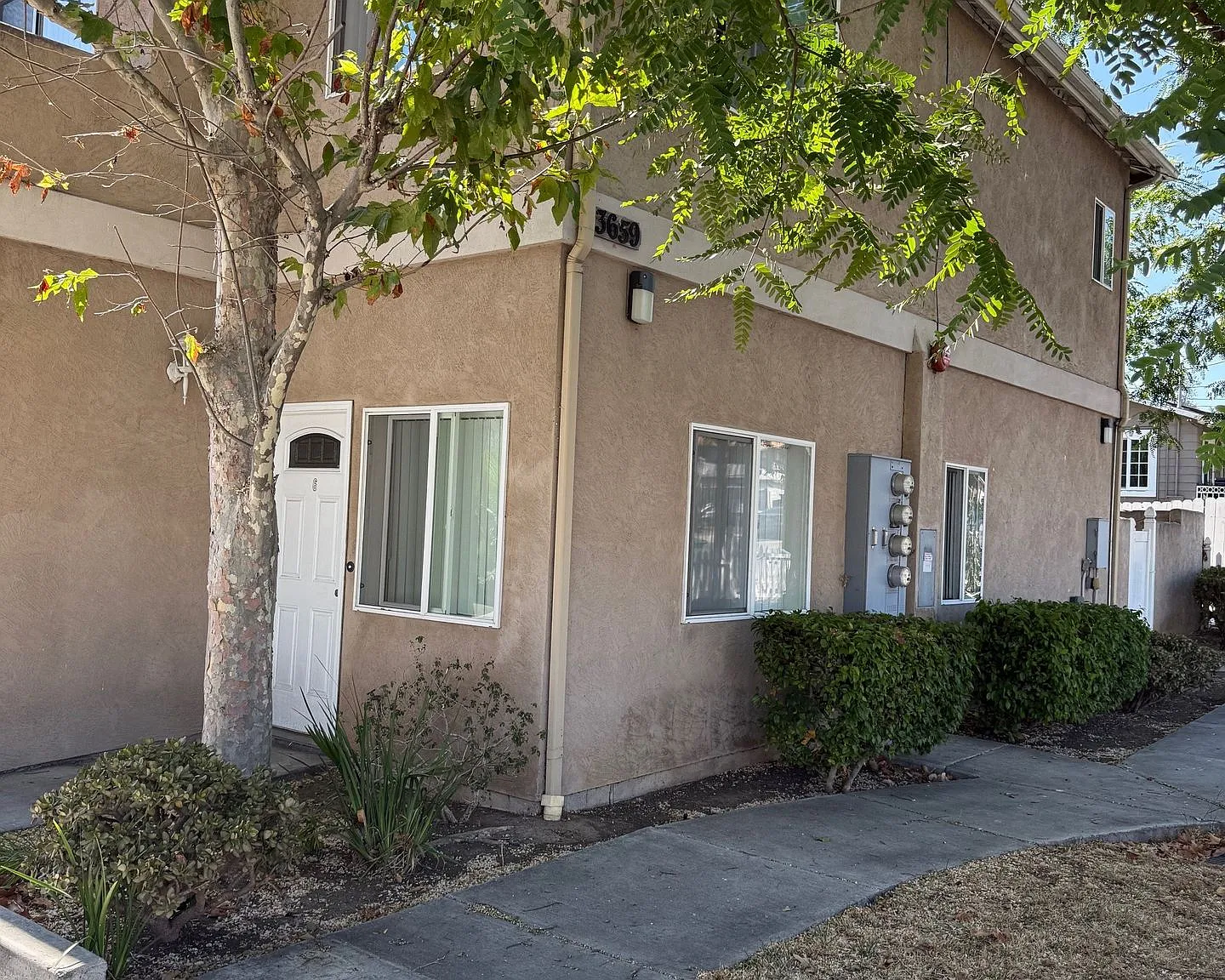 Bonita Street — Photo 1