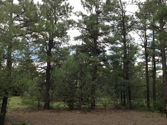 2nd image of 2751 Hidden Oaks Dr