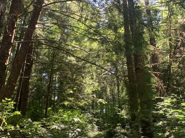 285 Parpala Rd, Naselle, WA 98638