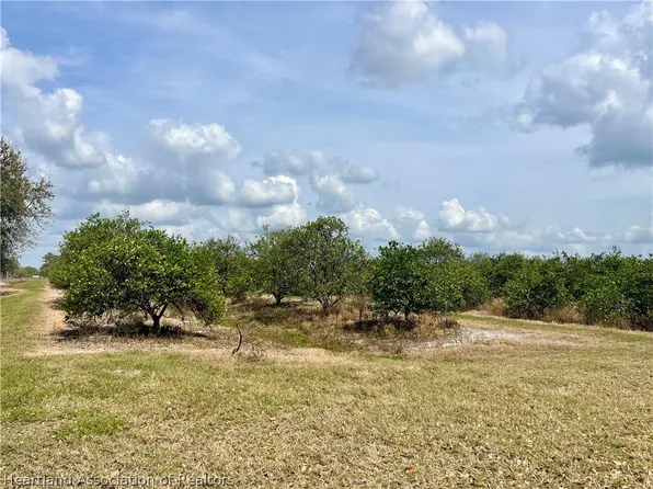 Fish Branch Rd, Zolfo Springs, FL 33890
