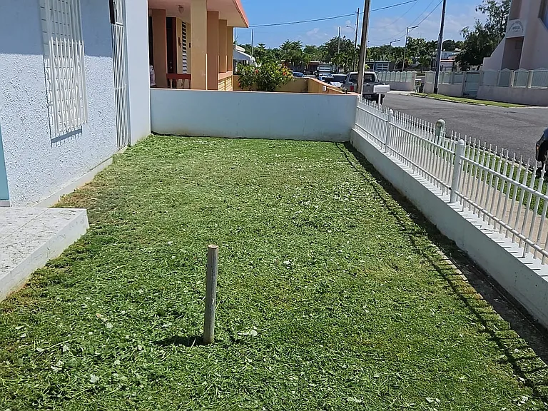 Front yard
