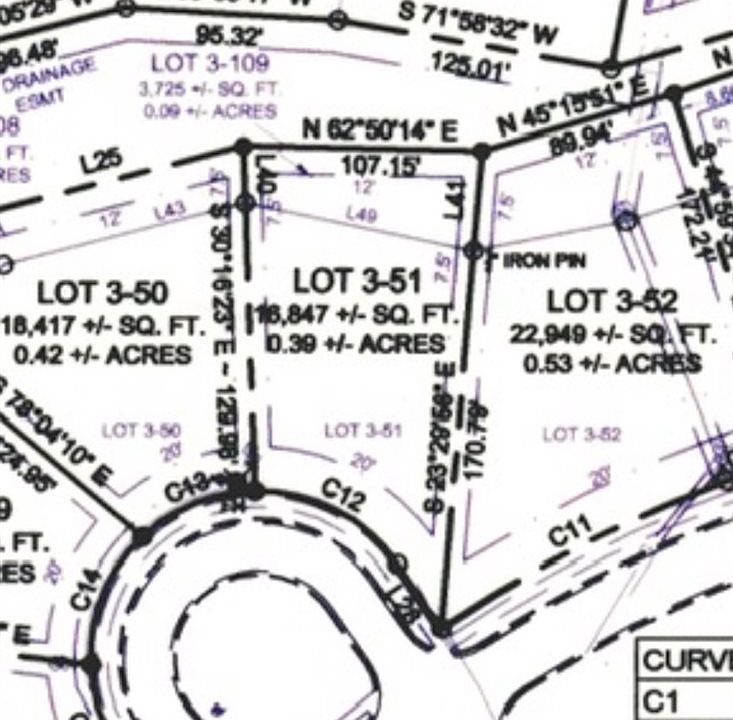 2nd image of 1231 Drakes Ridge Ln