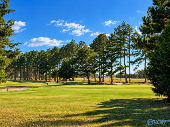 24424 Carnoustie Dr, Athens, AL 35613