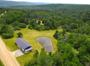 5461 Morgan Hill Rd, Scio, NY 14880