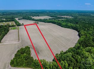 0 Ingram Rd, Springfield, GA 31329