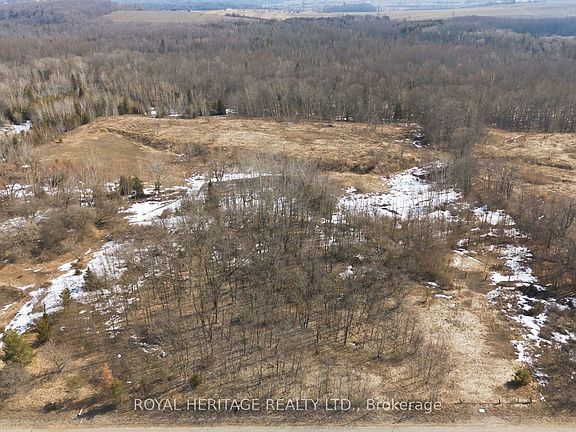2nd image of 2495 Morgans Rd