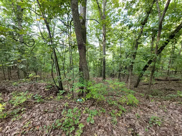 0 Falling Tree Ln, Flippin, AR 72634