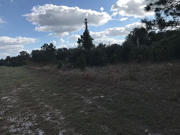5th image of 615 Tomasello Dr