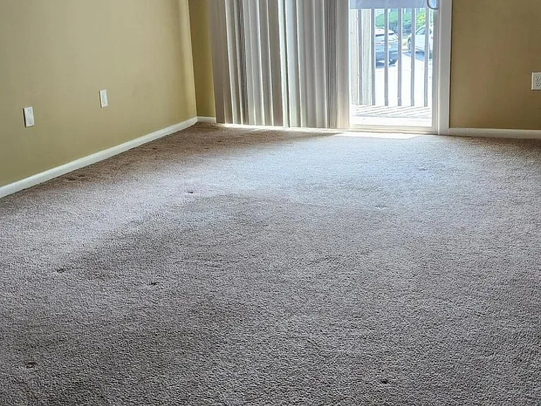 19 Scotch Pine Dr #133 — Photo 7