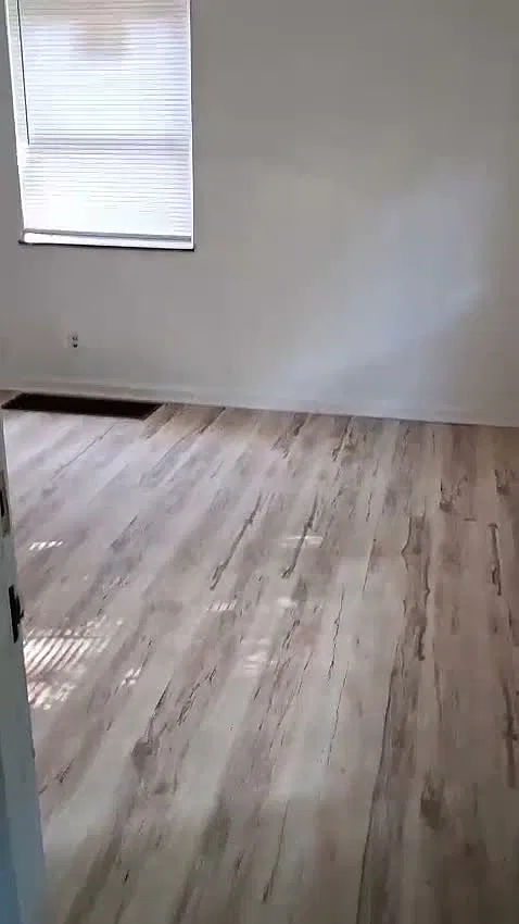 1 bed, $950 — Photo 3