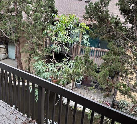 Creek & view from back balcony