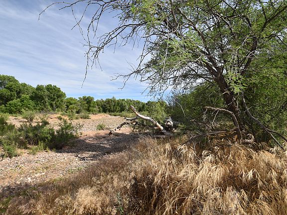 5th image of 5.96 Acres Cisco Trail