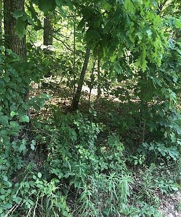 5th image of 00 Hedge Dr #00