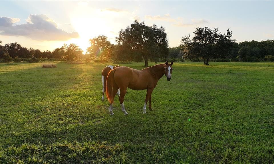 1st image of 45855 Clay Gully Rd