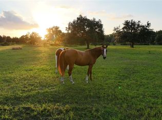 45855 Clay Gully Rd, Myakka City, FL 34251