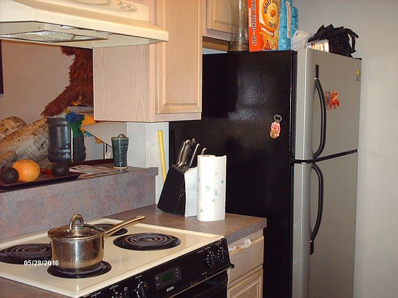 4th image of 704 Sceptre Cir